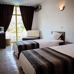 Hotel Vladislav ***